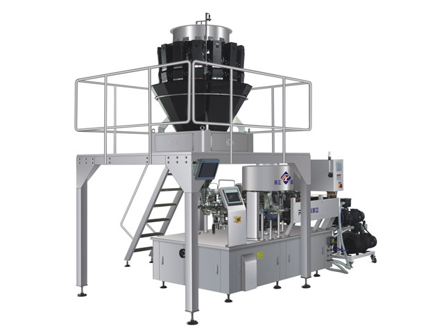 RL-GD8-ZK10-200/240筍干全自動真空包裝機(jī)